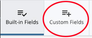 Screenshot of custom fields option for editing a metadata set highlighted