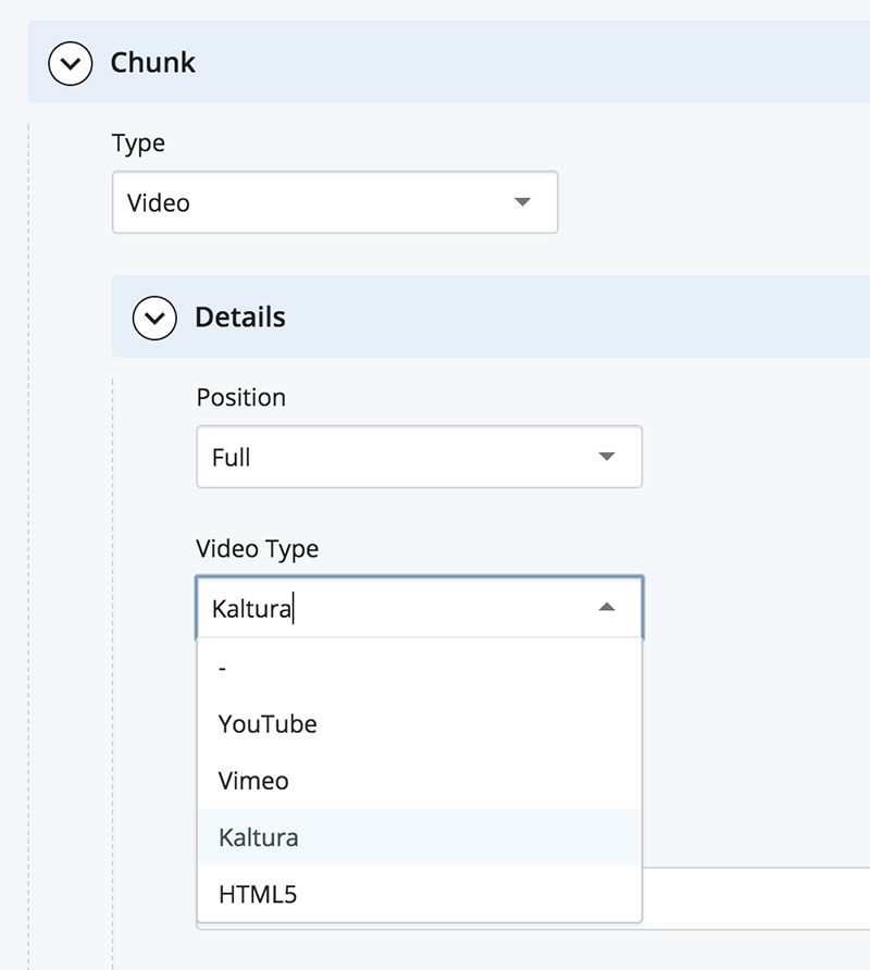 Video type dropdown in the video chunk
