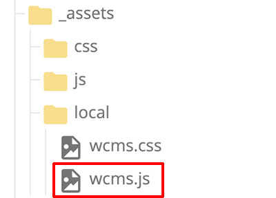Screenshot of the location of wcms.js in the site content file tree.