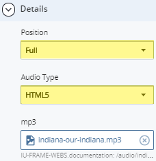position and audio type fields