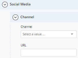 social media channel field