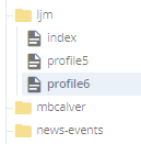new profile folder in folder tree