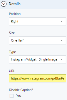 instagram widget URL field